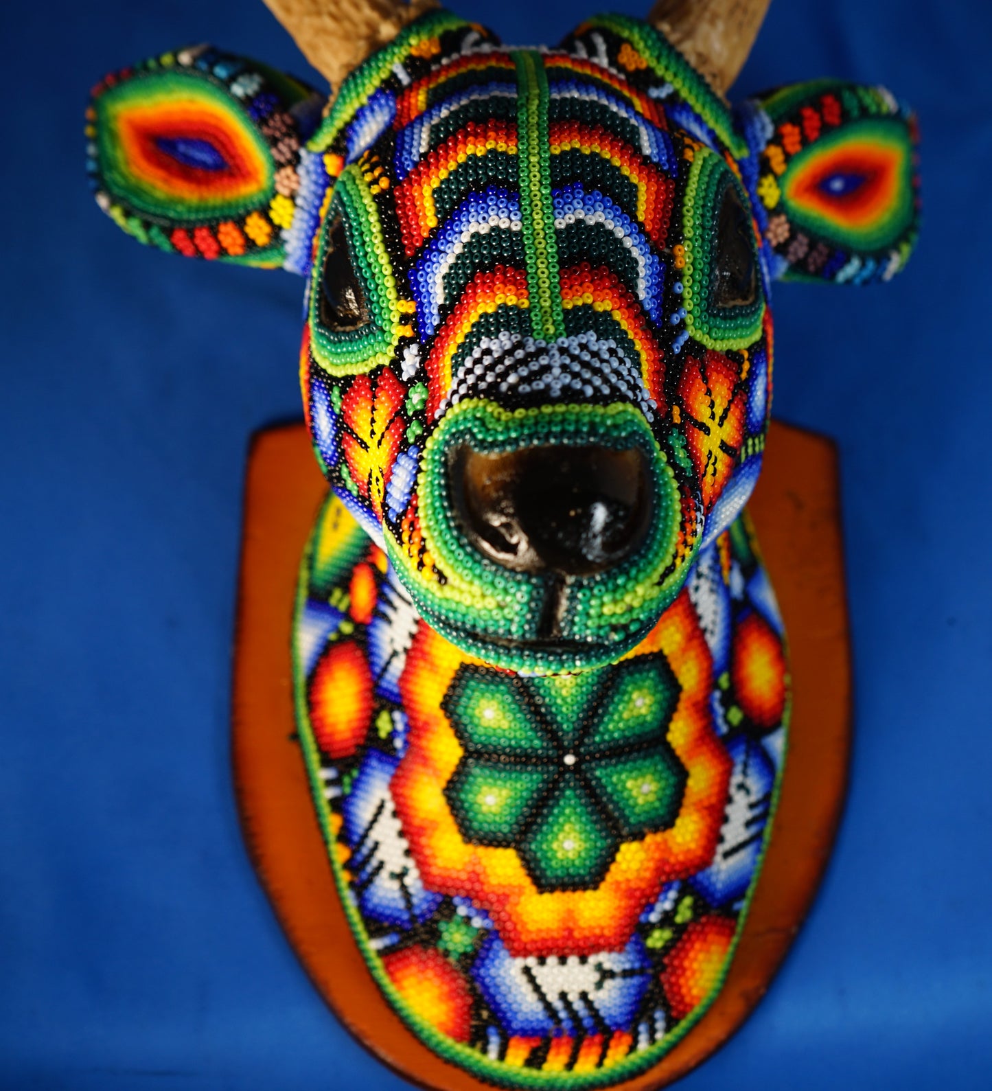 Huichol Mounted Deer Sculpture